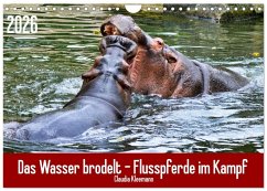 Cover Das Wasser brodelt - Flusspferde im Kampf (Wandkalender 2026 DIN A4 quer), CALVENDO Monatskalender