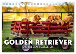 Golden Retriever - Die treuen Begleiter. (Tischkalender 2026 DIN A5 quer), CALVENDO Monatskalender Golden Retriever - Die treuen Begleiter. (Tischkalender 2026 DIN A5 quer), CALVENDO Monatskalender