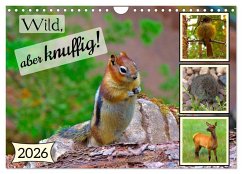 Cover Wild, aber knuffig! (Wandkalender 2026 DIN A4 quer), CALVENDO Monatskalender