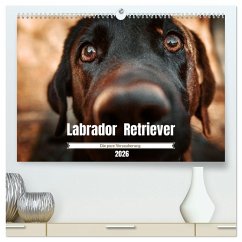 Cover Verzauberung Labrador Retriever 2026 (hochwertiger Premium Wandkalender 2026 DIN A2 quer), Kunstdruck in Hochglanz