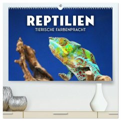 Reptilien - Tierische Farbenpracht (hochwertiger Premium Wandkalender 2026 DIN A2 quer), Kunstdruck in Hochglanz