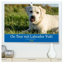 On Tour mit Labrador Yuki (hochwertiger Premium Wandkalender 2026 DIN A2 quer), Kunstdruck in Hochglanz