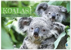 Cover Koalas: die flauschigen Herzensbrecher (Wandkalender 2026 DIN A3 quer), CALVENDO Monatskalender