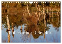 Hohes Moor Oldendorf (Wandkalender 2026 DIN A4 quer), CALVENDO Monatskalender