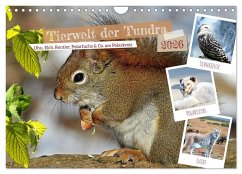 Cover Tierwelt der Tundra (Wandkalender 2026 DIN A4 quer), CALVENDO Monatskalender