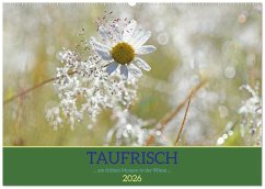 Taufrisch ... am frühen Morgen in der Wiese (Wandkalender 2026 DIN A2 quer), CALVENDO Monatskalender Taufrisch ... am frühen Morgen in der Wiese (Wandkalender 2026 DIN A2 quer), CALVENDO Monatskalender