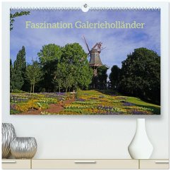 Faszination Galerieholländer (hochwertiger Premium Wandkalender 2026 DIN A2 quer), Kunstdruck in Hochglanz