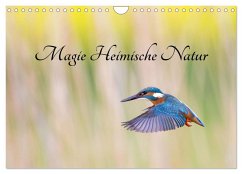 Magie Heimische Natur (Wandkalender 2026 DIN A4 quer), CALVENDO Monatskalender Magie Heimische Natur (Wandkalender 2026 DIN A4 quer), CALVENDO Monatskalender