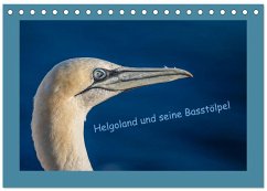 Helgoland und seine Basstölpel (Tischkalender 2026 DIN A5 quer), CALVENDO Monatskalender