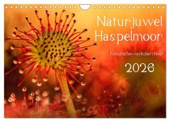 Naturjuwel Haspelmoor (Wandkalender 2026 DIN A4 quer), CALVENDO Monatskalender Naturjuwel Haspelmoor (Wandkalender 2026 DIN A4 quer), CALVENDO Monatskalender