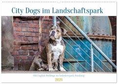 Cover City Dogs im Landschaftspark (Wandkalender 2026 DIN A2 quer), CALVENDO Monatskalender