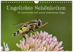 Cover Ungeliebte Schönheiten - die faszinierende Welt unserer heimischen Fliegen (Wandkalender 2026 DIN A4 quer), CALVENDO Monatskalender