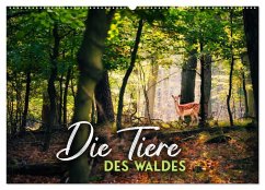 Die Tiere des Waldes (Wandkalender 2026 DIN A2 quer), CALVENDO Monatskalender