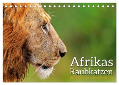 Afrikas Raubkatzen in eindrucksvollen Portraits (Tischkalender 2026 DIN A5 quer), CALVENDO Monatskalender