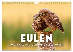 Eulen - Wachsame und geheimnisvolle Augen (Wandkalender 2026 DIN A4 quer), CALVENDO Monatskalender