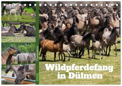 Cover Faszination Wildpferdefang in Dülmen (Tischkalender 2026 DIN A5 quer), CALVENDO Monatskalender