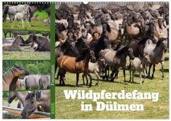 Cover Faszination Wildpferdefang in Dülmen (Wandkalender 2026 DIN A2 quer), CALVENDO Monatskalender