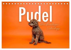 Cover Pudel - Die flauschigen Lockenköpfe. (Tischkalender 2026 DIN A5 quer), CALVENDO Monatskalender