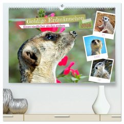 Cover Goldige Erdmännchen (hochwertiger Premium Wandkalender 2026 DIN A2 quer), Kunstdruck in Hochglanz