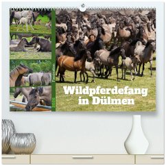 Cover Faszination Wildpferdefang in Dülmen (hochwertiger Premium Wandkalender 2026 DIN A2 quer), Kunstdruck in Hochglanz