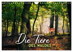Die Tiere des Waldes (Wandkalender 2026 DIN A4 quer), CALVENDO Monatskalender