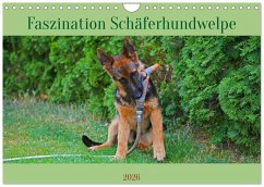 Cover Faszination Schäferhundwelpe (Wandkalender 2026 DIN A4 quer), CALVENDO Monatskalender