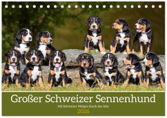 Großer Schweizer Sennenhund - Mit Schweizer Welpen durch das Jahr (Tischkalender 2026 DIN A5 quer), CALVENDO Monatskalender