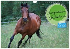 Cover Faszination Trakehner (Wandkalender 2026 DIN A4 quer), CALVENDO Monatskalender