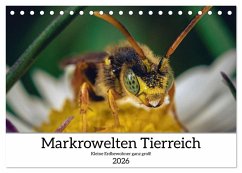 Makrowelten Tierreich (Tischkalender 2026 DIN A5 quer), CALVENDO Monatskalender Makrowelten Tierreich (Tischkalender 2026 DIN A5 quer), CALVENDO Monatskalender
