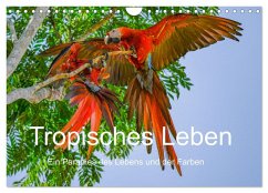 Cover Tropisches Leben Ein Paradies des Lebens und der Farben (Wandkalender 2026 DIN A4 quer), CALVENDO Monatskalender