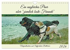 Cover Ein ungleiches Paar aber 