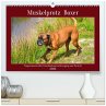 Muskelprotz Boxer (hochwertiger Premium... - Bild 1