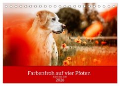 Cover Farbenfroh auf vier Pfoten durch das neue Jahr (Tischkalender 2026 DIN A5 quer), CALVENDO Monatskalender