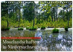 Niedersachsens Moorlandschaften - Das Pietzmoor, Schneverdingen (Wandkalender 2026 DIN A4 quer), CALVENDO Monatskalender Niedersachsens Moorlandschaften - Das Pietzmoor, Schneverdingen (Wandkalender 2026 DIN A4 quer), CALVENDO Monatskalender