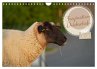 Faszination Deichschafe (Wandkalender... - Bild 1
