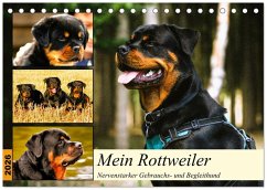 Mein Rottweiler. Nervenstarker Gebrauchs- und Begleithund (Tischkalender 2026 DIN A5 quer), CALVENDO Monatskalender