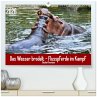 Das Wasser brodelt - Flusspferde im... - Bild 1