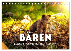 Bären - Pandas, Grizzlybären und Co. (Tischkalender 2026 DIN A5 quer), CALVENDO Monatskalender