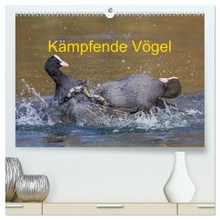 Kämpfende Vögel (hochwertiger Premium Wandkalender 2026 DIN A2 quer), Kunstdruck in Hochglanz Kämpfende Vögel (hochwertiger Premium Wandkalender 2026 DIN A2 quer), Kunstdruck in Hochglanz