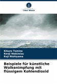 Beispiele für künstliche Wolkenimpfung mit flüssigem Kohlendioxid Beispiele für künstliche Wolkenimpfung mit flüssigem Kohlendioxid