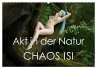Akt in der Natur - Chaos Isi... - Bild 1