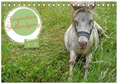 Faszination Shetlandpony (Tischkalender 2026 DIN A5 quer), CALVENDO Monatskalender Faszination Shetlandpony (Tischkalender 2026 DIN A5 quer), CALVENDO Monatskalender