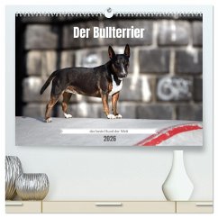 Der Bullterrier der beste Hund der Welt (hochwertiger Premium Wandkalender 2026 DIN A2 quer), Kunstdruck in Hochglanz