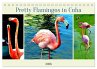 Pretty Flamingos in Cuba (Tischkalender... - Bild 1