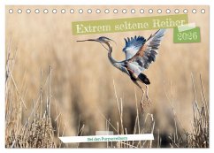 Cover Extrem seltene Reiher (Tischkalender 2026 DIN A5 quer), CALVENDO Monatskalender