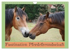 Faszination Pferdefreundschaft (Wandkalender 2026 DIN A4 quer), CALVENDO Monatskalender Faszination Pferdefreundschaft (Wandkalender 2026 DIN A4 quer), CALVENDO Monatskalender
