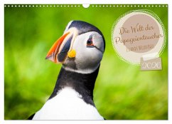 Cover Die Welt der Papageientaucher - Islands Wildvögel (Wandkalender 2026 DIN A3 quer), CALVENDO Monatskalender
