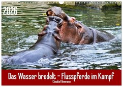 Cover Das Wasser brodelt - Flusspferde im Kampf (Wandkalender 2026 DIN A3 quer), CALVENDO Monatskalender
