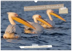 Sehnsuchtsziel Donaudelta (Wandkalender 2026 DIN A3 quer), CALVENDO Monatskalender