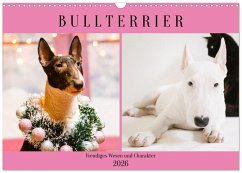 Bullterrier. Freudiges Wesen und Charakter (Wandkalender 2026 DIN A3 quer), CALVENDO Monatskalender